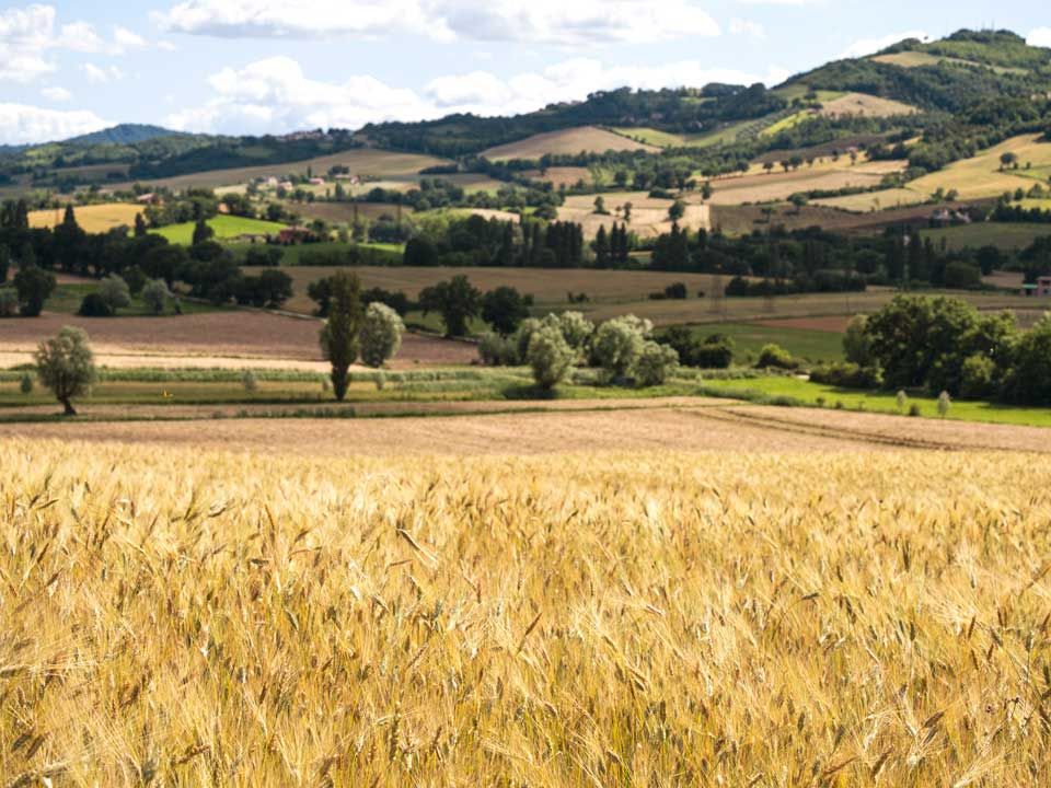 Colline e campagne dell'Appennino da cui derivano gli ingredienti selezionati dal Ristorante Gigiotto